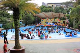 The Jungle Adventure