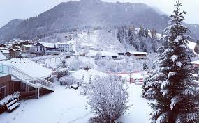 Mauro Icardi Good Morning Ice Snow Snowing Mi9 Facebook Lovethispic offers winter snow in the forest good morning pictures, photos & images, to be used on facebook, tumblr, pinterest. ice snow snowing mi9