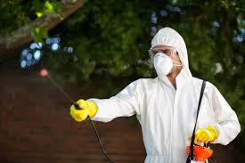 Our pest control program is specifically designed for the pests we experience in eaton rapids. Best Pest Control Plano Tx Safe Pro Pest Control Plano Tx Services