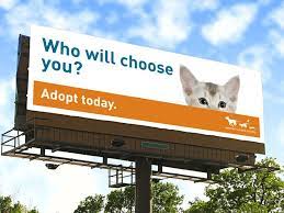 Cute Billboard For The Animal Humane Society Humane Society Dachshund Pets Animal Shelter