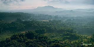 Tempat wisata di gresik merupakan salah satu lokasi liburan yang sangat disayangkan bila tidak di kunjungi terlebih bila anda sedang berkunjung ke gresik atau ke surabaya yang memang lokasinya tidak begitu jauh. Melihat Keindahan Gresik Dari Bukit Surowiti Genpi Co Jatim