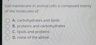 Check spelling or type a new query. Cell Membrane In Animal Cells Is Composed Mainly Of The Molecules Of A Carbohydrates And Lipids