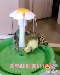 Bird Bath Ideas For Cages Cute Bird Bath Fountain Idea Bath Bird Cute Fountain Idea In 2020 Bird Bath Fountain Bird Supplies Diy Bird Toys