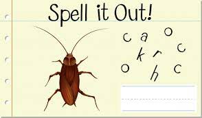 Patients are moved to a regular ward before we need to put you to sleep. Cockroach Images Free Vectors Stock Photos Psd
