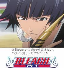 斬魄刀『雀蜂』の能力に毒の効果はない。BLEACH（ブリーチ）テレビオリジナル『バウント篇』 | ガタルのブログ