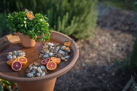 Maybe you would like to learn more about one of these? 3 Ways To Create A Bee Friendly Garden Or Balcony Product Care Recycling