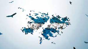 En la descripción de la página están los objetivos y fines de la página tanto en. Las Malvinas Argentinas Vecinal Empalme Graneros