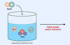 Nh4cl , cucl2, zn(no3)2 dll → ketiga, garam yang terbentuk dari asam lemah dan basa lemah dapat terhidrolisis sempurna. Hidrolisis Garam Pengertian Jenis Rumus Contoh Soal Kimia Science7 Com