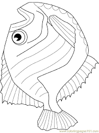 You can use our amazing online tool to color and edit the following leap coloring pages. Hatchet Fish Coloring Page For Kids Free Other Fish Printable Coloring Pages Online For Kids Coloringpages101 Com Coloring Pages For Kids