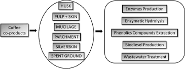 Shop for capsule coffee machines online at the good guys. Enzymatic Technology Application On Coffee Co Products A Review Springerlink