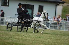 Welsh Mountain Ponies Carriage Driving Carriage Driving My Pretty Pony Pretty Horses