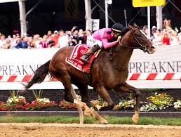 Tdp Preakness Recap The Downey Profile