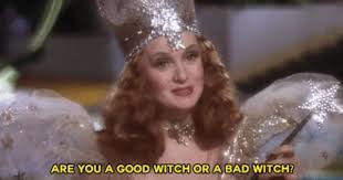 Are You A Good Witch Or A Bad Witch Quiz Witch Meme Funny Google Search Glenda The Good Witch The Good Witch Glinda The Good Witch