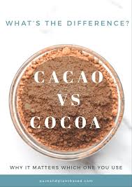 Cacao Powder Vs Cocoa Powder Pure And Plant Based Cacao Powder Benefits Cacao Benefits Cocoa Health Benefits