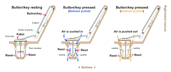 accordion wikipedia