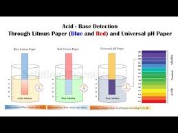 how to use litmus paper to test acid and base simple