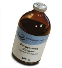 It can be taken by injection into a vein or by mouth. Furosemide Injection Solution