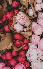 27 Very Pretty Iphone Xr Wallpapers That Will Jazz Your Phone Up Iphone Wallpaper Iphonexr Background Peony Wallpaper Flower Aesthetic Planting Flowers