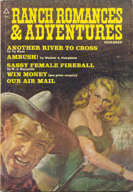 Magazine Contents Lists: Page 341