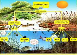 Resultado de imagen de La Biosfera