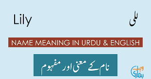 Learn names of flowers in both english and urdu! Lily Name Meaning In Urdu Ù„Ù„ÛŒ Lily Meaning Muslim Girl Name