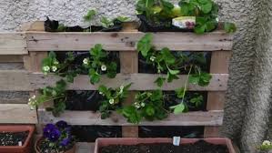 Principalmente en cuanto a macetas y jardineras porque con. Jardineras Personalizadas Paso A Paso Bricolaje