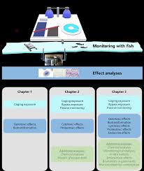 Once a property has been cleared of all infestations and all repairs necessary prevent infestations have been. 2