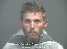 EDWARDS, COLTON SHANE Charges: FAILURE TO APPEAR This information and more  is available https://apps.myocv.com/share/a95737804