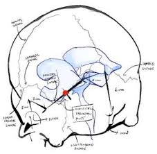 Pdf An Approach Using The Occipital Parietal Point For Placement Of Ventriculoperitoneal Catheters In Adults Semantic Scholar