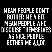 Mean People Who Disguise Themselves Shady People Quotes Sarcastic Quotes Funny Shady Quotes