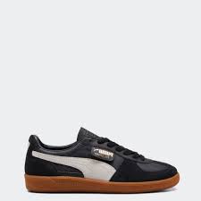Image result for Puma 10
