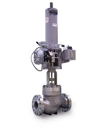 Multi Stage Control Globe Valve | Products | FCA Valves