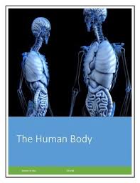 Human body heart coloring pages. Human Heart Coloring Worksheets Teaching Resources Tpt