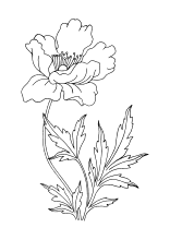 Blumen aus toilettenpapierrollen pflanzen basteln meine. Malvorlagen Blumen Und Bluten Ausmalbilder Fur Kinder