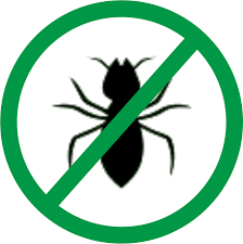 We offer free quotes be it a cockroach, rodents, ants, or a termite pest control, the pest control hyderabad service providers found on thepackersmovers.com offers genuine and. Pest Control Services In Hyderabad At Low Cost Free Home Inspection