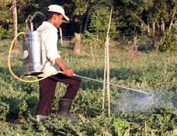 When aerial spraying is done correctly, it does not cause asthma attacks. Pesticide Application Wikipedia