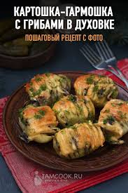 курица с картошкой и грибами в духовке рецепт с фото Kartoshka Garmoshka S Gribami V Duhovke Recept S Foto Eda Pitanie Recepty Veganskie Uzhiny
