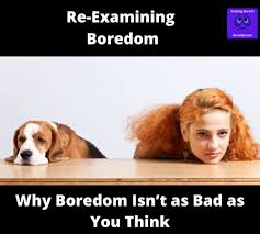You have even tried the local game store, but you haven't gotten the. Bored A Lot