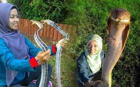 Mari semak 10 cara yang boleh digunakan untuk menghalaukan lalat. Ini Tindakan Yang Perlu Dilakukan Jika Ular Masuk Rumah Anda Iluminasi