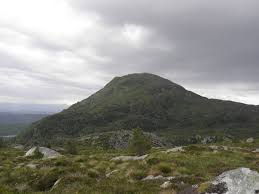 The aim of this study was to explore the proportion with mild cognitive impairment (mci) and subtypes in an incidence cohort of untreated pd in southern and western norway. Tysnesoy Wikipedia
