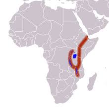 Divergent boundary the great rift valley african rift. Great Rift Valley Wikipedia