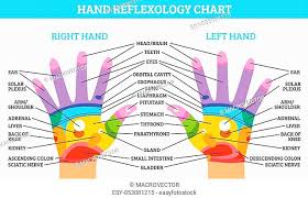 Ear Reflexology Chart Description W Stock Photos And Images