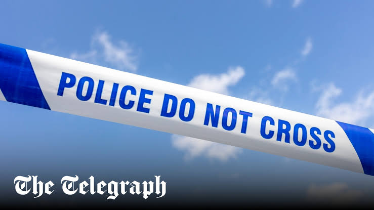 Four boys charged with rape after woman abducted in Weston-super-Mare
