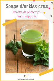 Soupe Aux Orties Crue Recette Detox Et Bienfaits En Sante Naturelle Recept