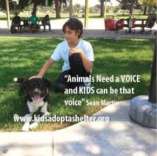 All pets who enter the gpr program are guaranteed a home regardless of the length of time it takes for them to be adopted. Haile S Angels Pet Rescue Home Facebook