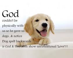 26 Dog Quotes About Love And Compassion Dog Quotes Love Dog Quotes Dog Quotes Funny