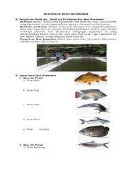 More images for soal prakarya budidaya ikan konsumsi kelas 9 » Materi 1 Kd 3 1 Budidaya Ikan Konsumsi 9 2018
