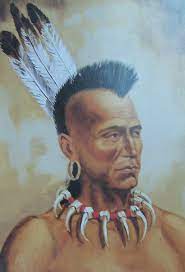 Retro A Mohawk Is A Mohawk Pink Or Grey American Indian History Native American Warrior American Indian Art