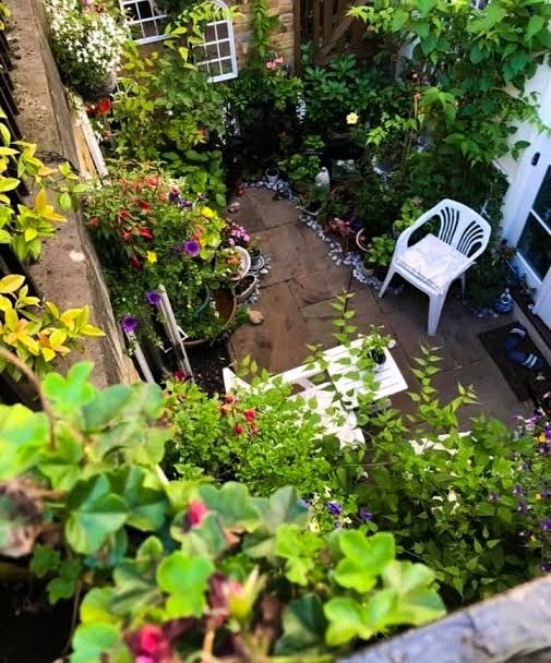 الزراعة المنزلية ليست مجرد هواية، بل هي طريقة فعالة لتعزيز الصحة النفسية والجسدية. عندما تبدأ في زراعة النباتات في المنزل، فإنك تستفيد من فوائد عديدة تنعكس على جسمك وعقلك. إليك بعض الأسباب
