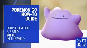 Pokemon Go Ditto List How To Catch A Ditto And All Pokemon